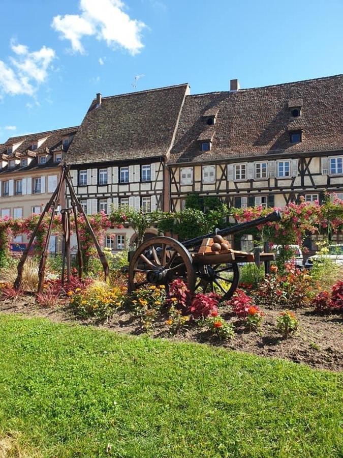 Appartement Logement Tout Confort 2 - Wifi - Parking à Wissembourg Extérieur photo