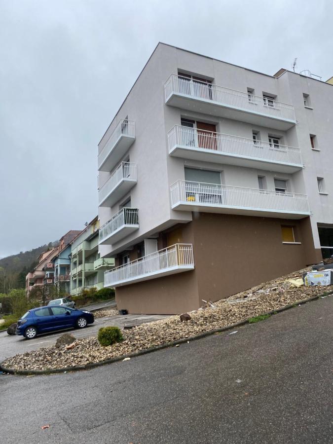 Appartement Logement Tout Confort 2 - Wifi - Parking à Wissembourg Extérieur photo