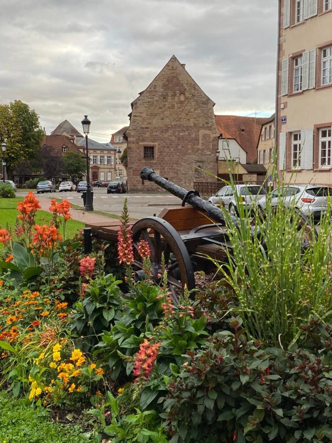 Appartement Logement Tout Confort 2 - Wifi - Parking à Wissembourg Extérieur photo