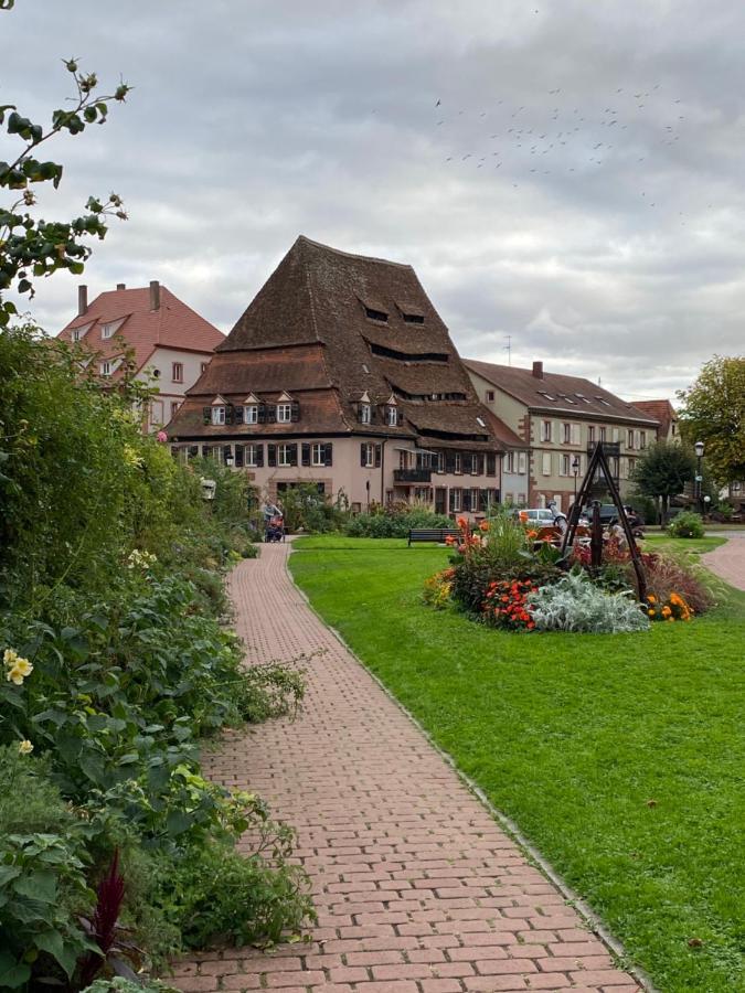 Appartement Logement Tout Confort 2 - Wifi - Parking à Wissembourg Extérieur photo